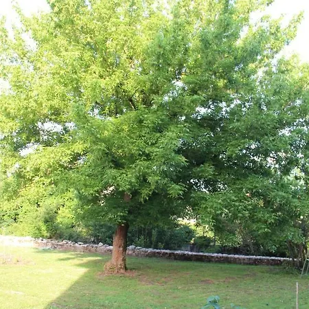 Le Domaine D'elisabeth *
